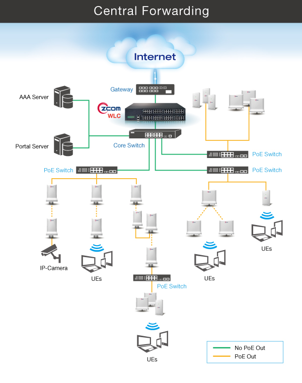 Network Architecture 